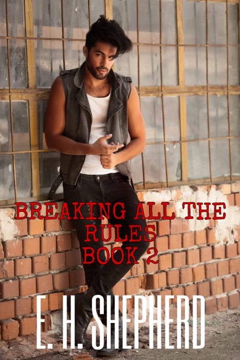 Breaking All the Rules Book 2