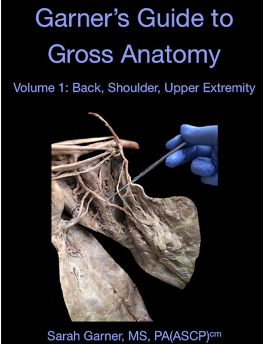 Garner's Guide to Gross Anatomy Volume 1: Back, Shoulder, Upper Extremity