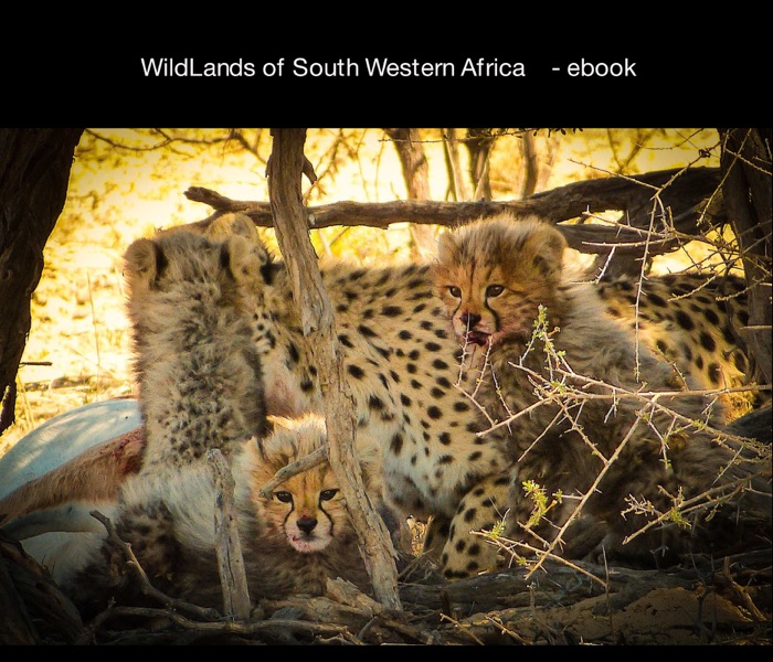 WildLands of South Western Africa e-Book