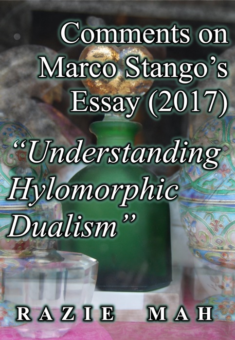 Comments on Marco Stango’s Essay (2017) 