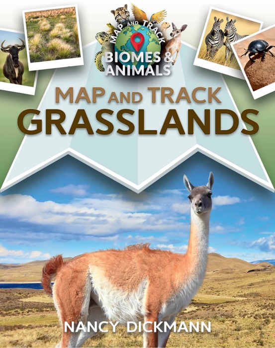 Map and Track Grasslands