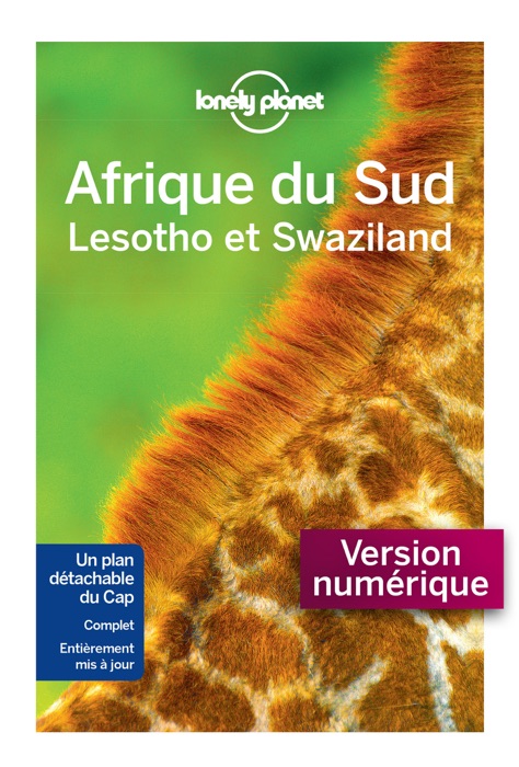 Afrique du Sud 10