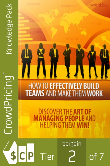 How to Effectively Build Teams and Make Them Work