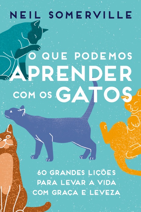 O que podemos aprender com os gatos