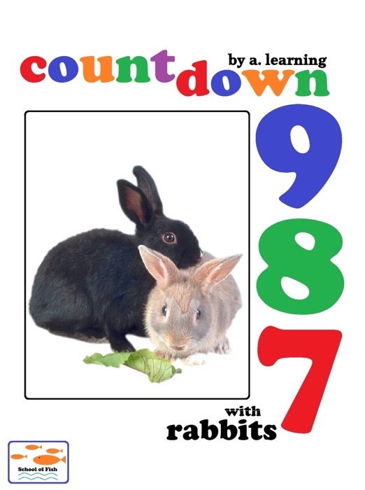 Countdown with Rabbits