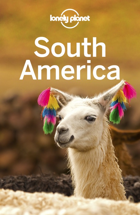 South America Travel Guide