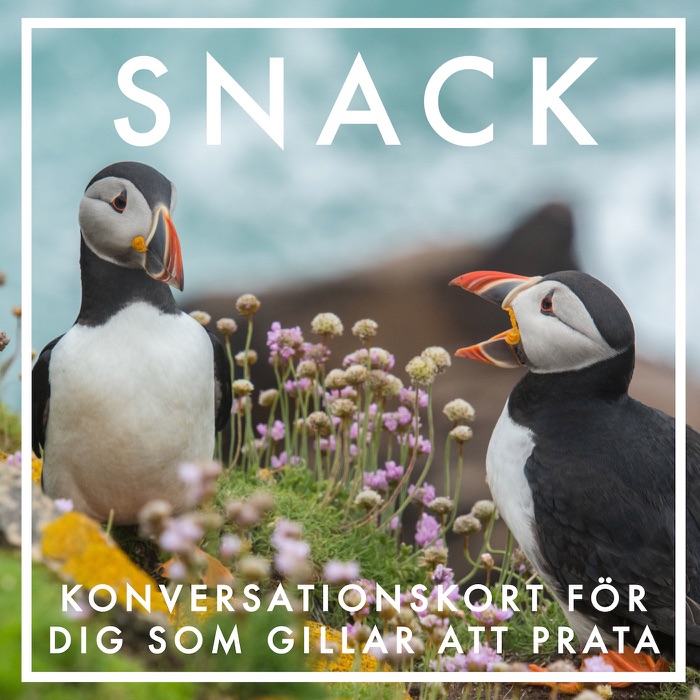 SNACK (Epub3)