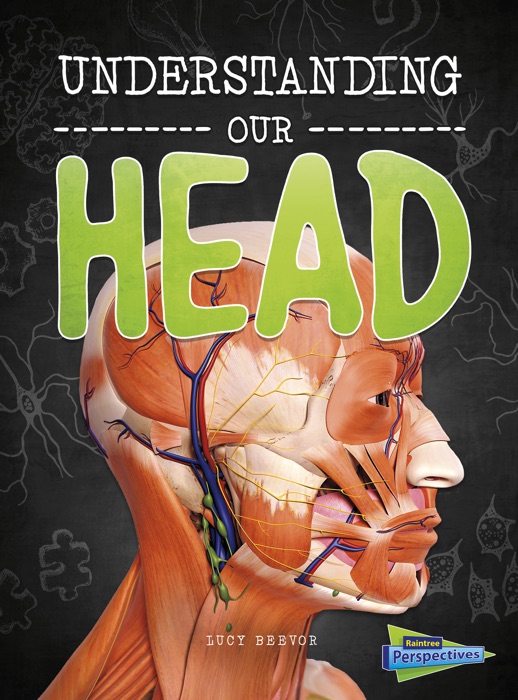 Understanding Our Head