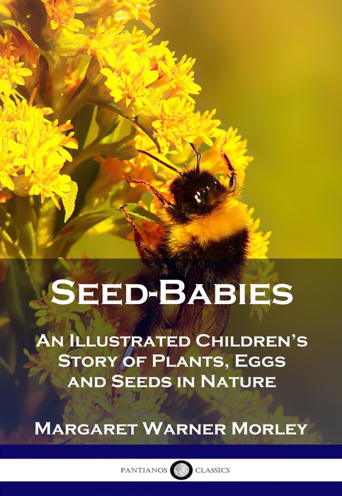 Seed-Babies