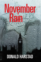 Donald Harstad - November Rain artwork