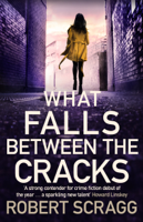 Robert Scragg - What Falls Between the Cracks artwork