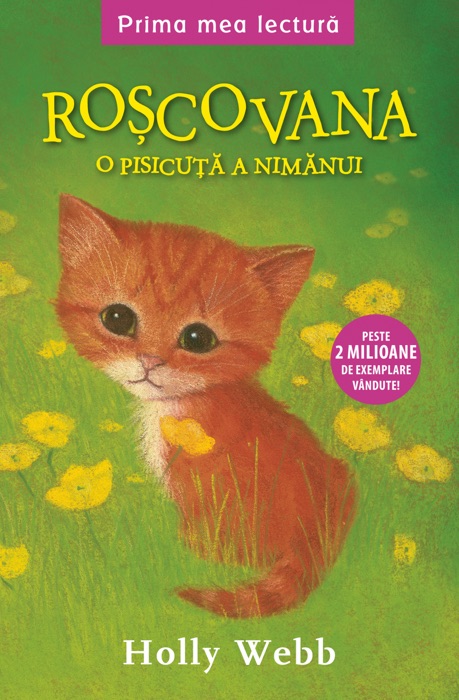 Roșcovana Ginger, pisicuța nimănui