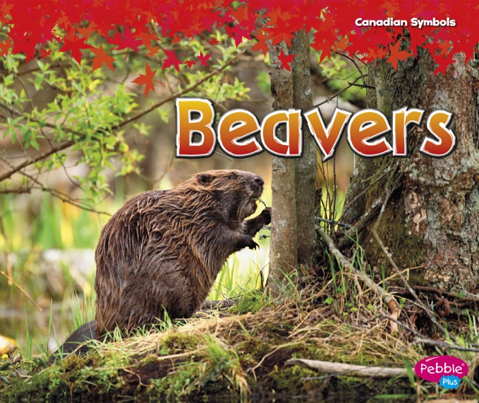 Beavers