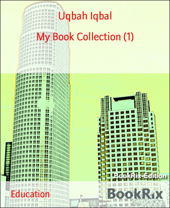 My Book Collection (1)