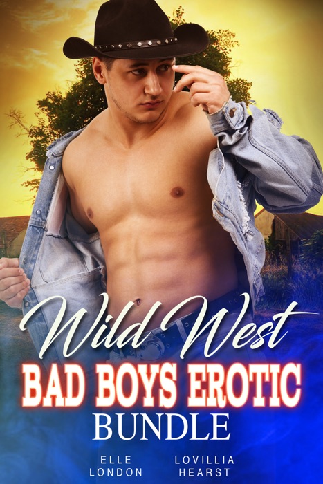 Wild West Bad Boys Bundle
