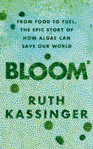 Bloom ([year]) Download