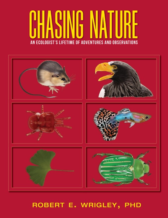 Chasing Nature