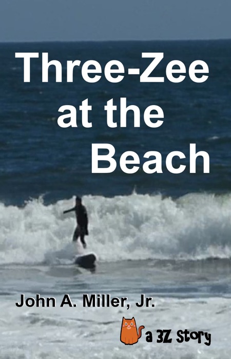 Three-Zee at the Beach