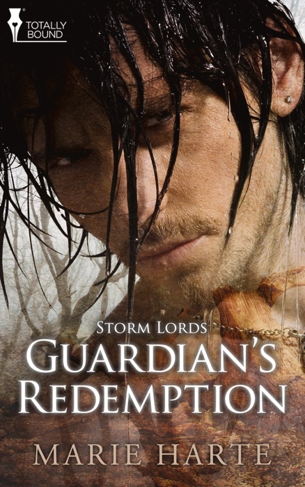Guardian's Redemption