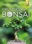 Grundkurs Bonsai