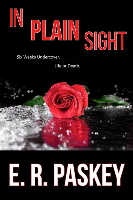 In Plain Sight