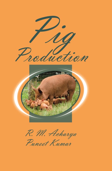 Pig Production