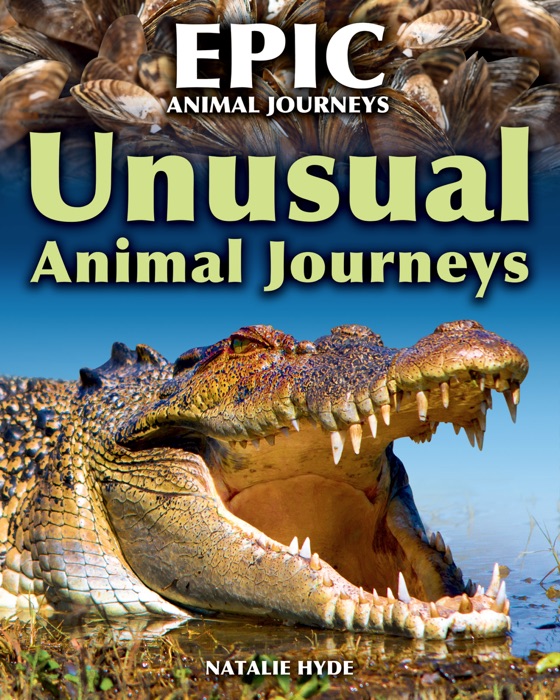 Unusual Animal Journeys