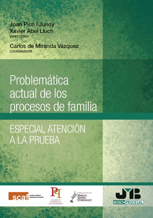 Problemática actual de los procesos de familia