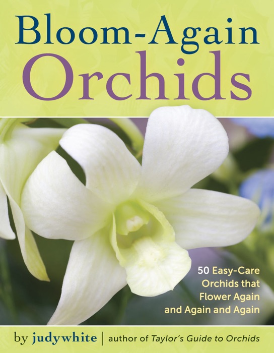 Bloom-Again Orchids