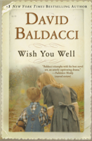 David Baldacci - Wish You Well artwork