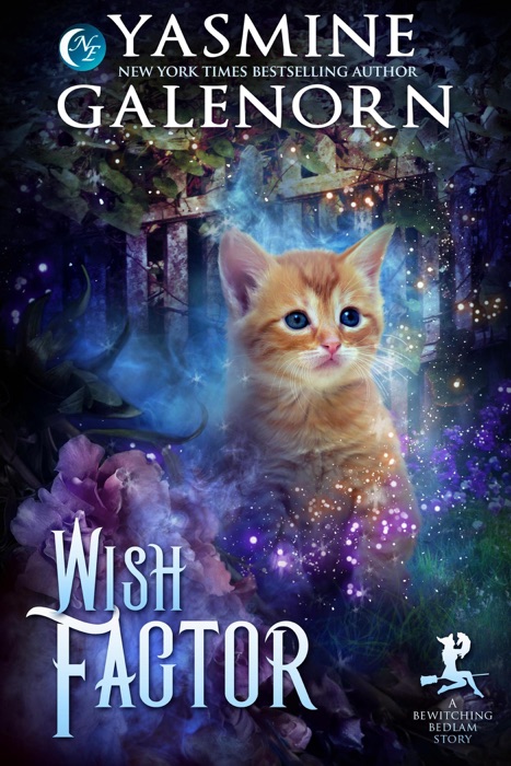 Wish Factor: A Bewitching Bedlam Short Story