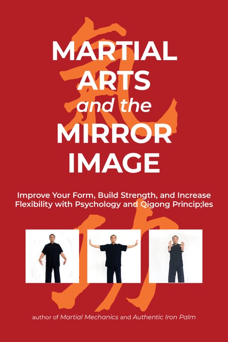 Martial Arts and the Mirror Image