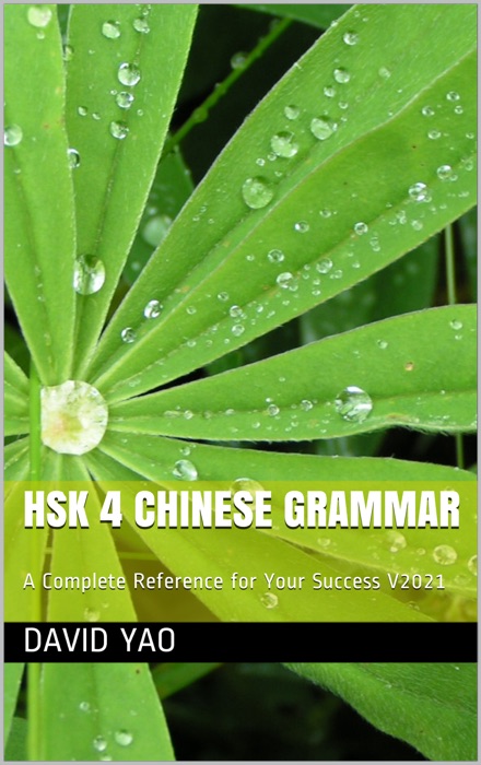 HSK 4 Chinese Grammar 中文语法