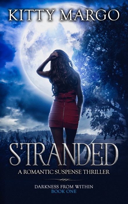 Stranded: A Romantic Suspense Thriller - Book One