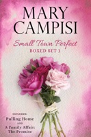 Small Town Perfect Boxed Set 1 - GlobalWritersRank