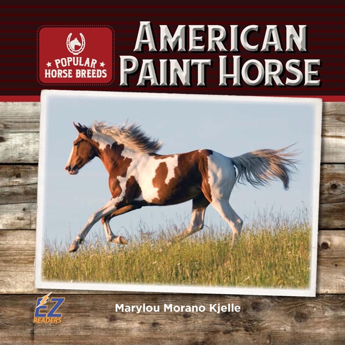 American Paint Horse