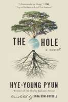 Hye-young Pyun & Sora Kim-Russell - The Hole artwork