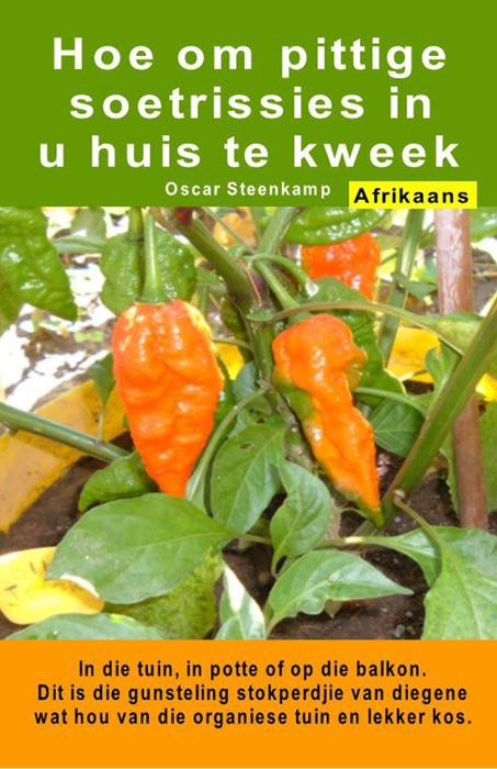 Hoe om pittige soetrissies in u huis te kweek. In die tuin, in potte of op die balkon