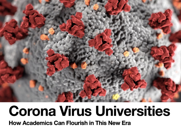 Corona Virus Universities How Academics Can Flourish in This New Online Era