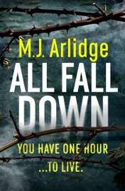 Book's Cover of All Fall Down