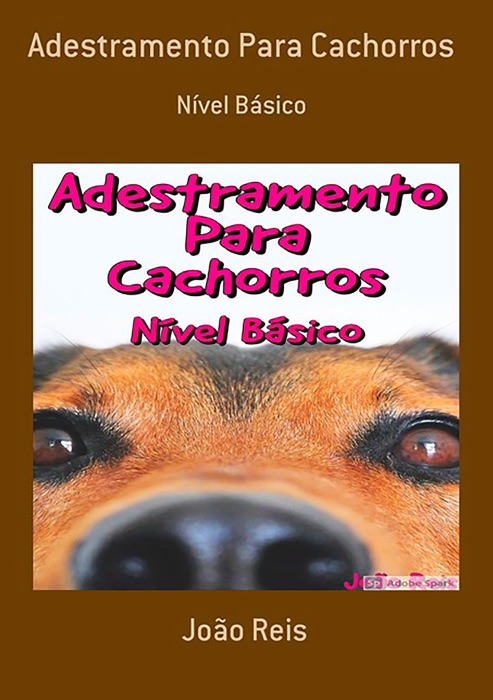 Adestramento Para Cachorros