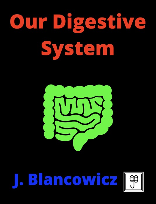 Our Digestive System