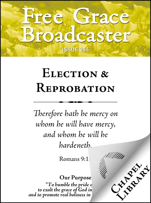 Election and Reprobation