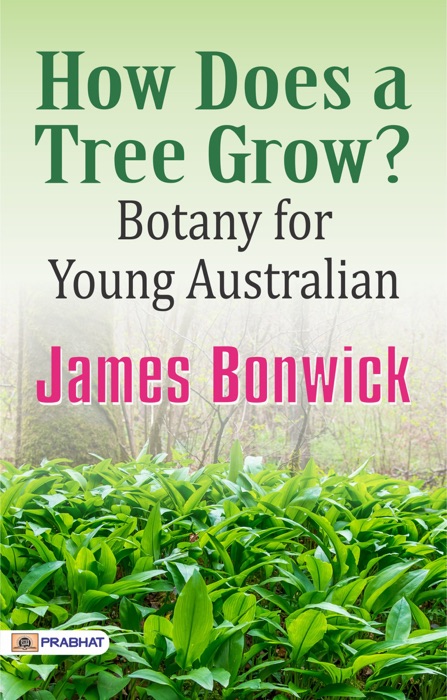 How Does a Tree Grow? Botany for Young Australian