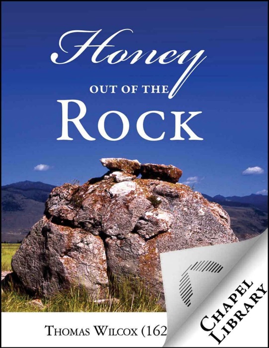 Honey Out of the Rock