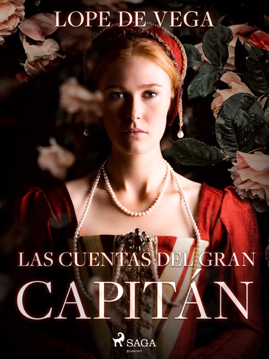 Las cuentas del gran capitán