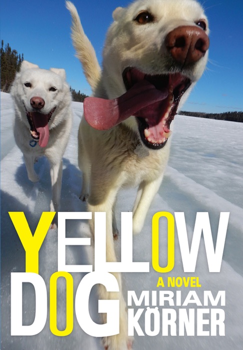 Yellow Dog