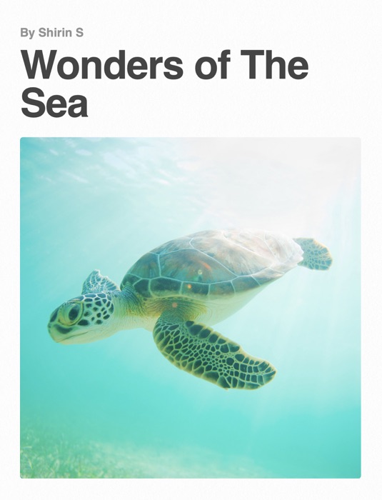 Wonders of The Sea