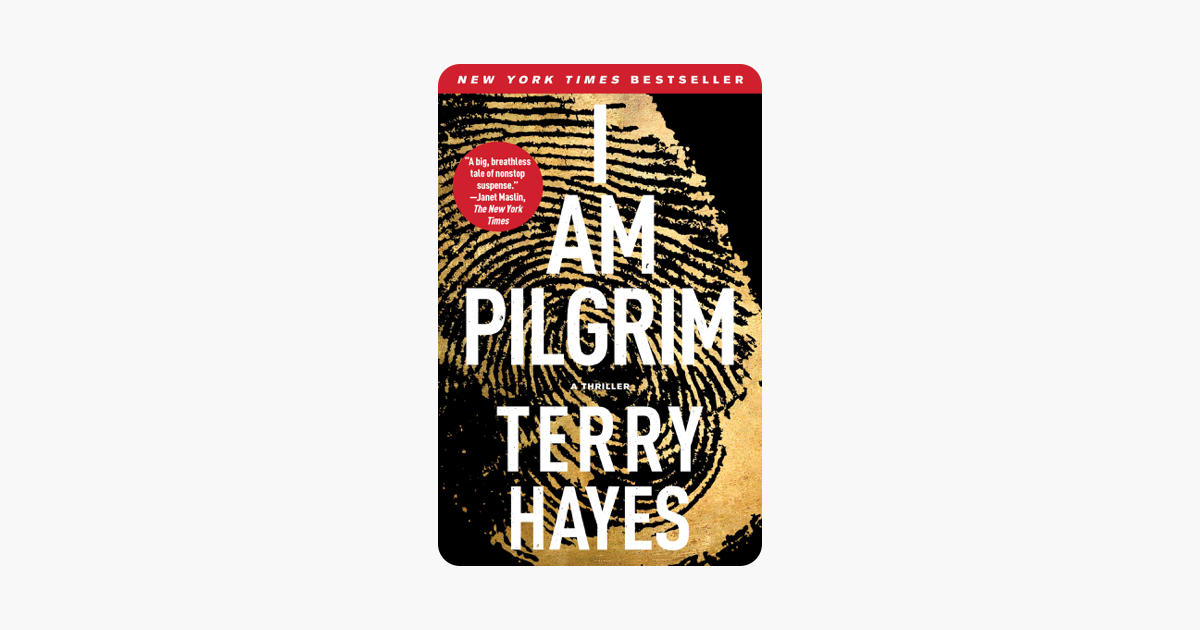 i am pilgrim book review