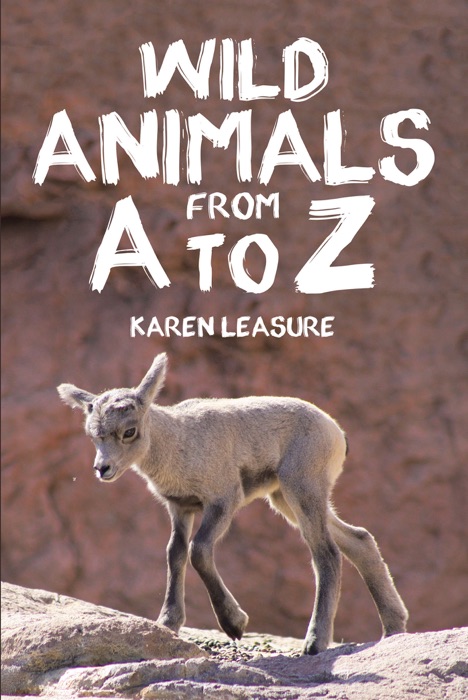 Wild Animals from A To Z